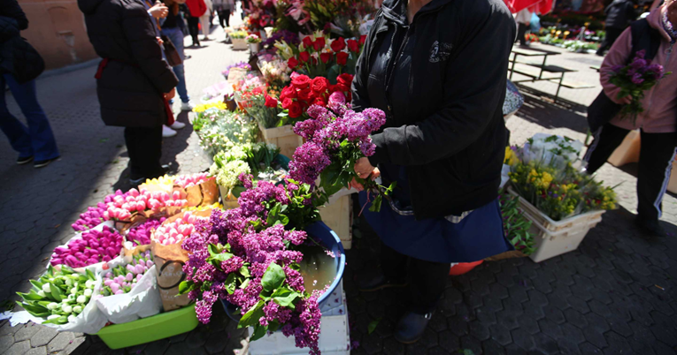 Prekrasni jorgovani stigli su na Dolac. Cijena i do 3 eura