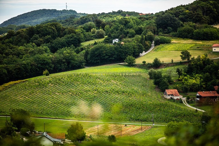 U zagorsku poljoprivredu lani uloženo gotovo 840 tisuća eura