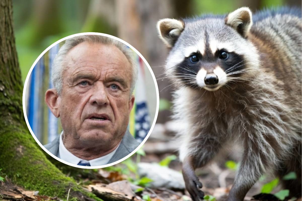 Trumpov ministar: Na obiteljskom izletu sam odrezao penis rakunu, da ga proučim