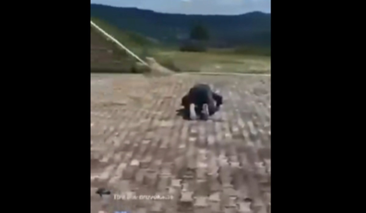 Grmoja: Hrvati se nisu bojali mudžahida, ne boje se ni ovih tik tok ekstremista