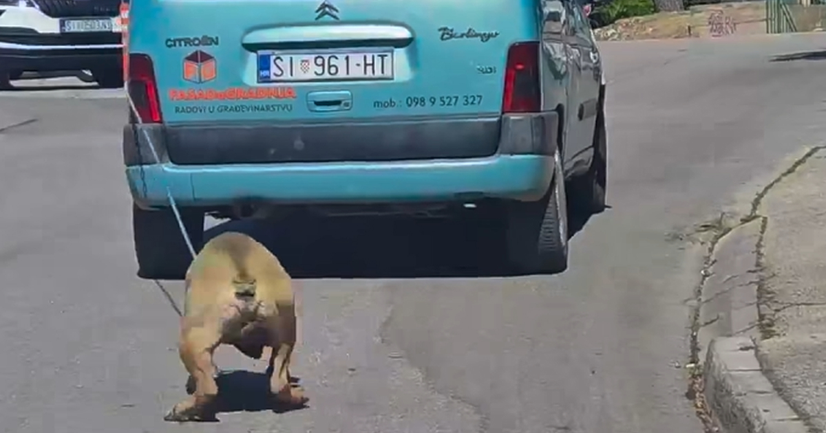 Širi se uznemirujuća snimka. U Šibeniku vezao psa za auto i vukao ga po cesti