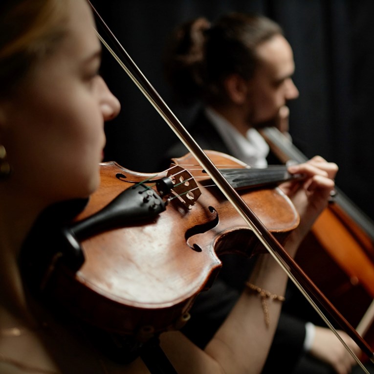 U britanskom pubu ukradena violina stara 280 godina