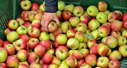 U jabukama jednog hrvatskog OPG-a povećana količina pesticida: "Rizik je ozbiljan"