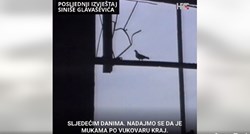 VIDEO Ovo je zadnji izvještaj Siniše Glavaševića