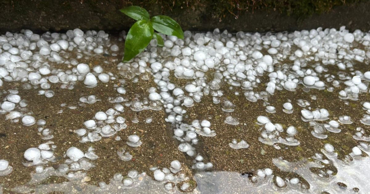 FOTO Tuča u Slavoniji