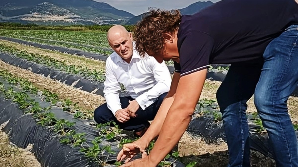DP-ov ministar: Radimo na povećanju proizvodnje mlijeka, mesa, voća i povrća