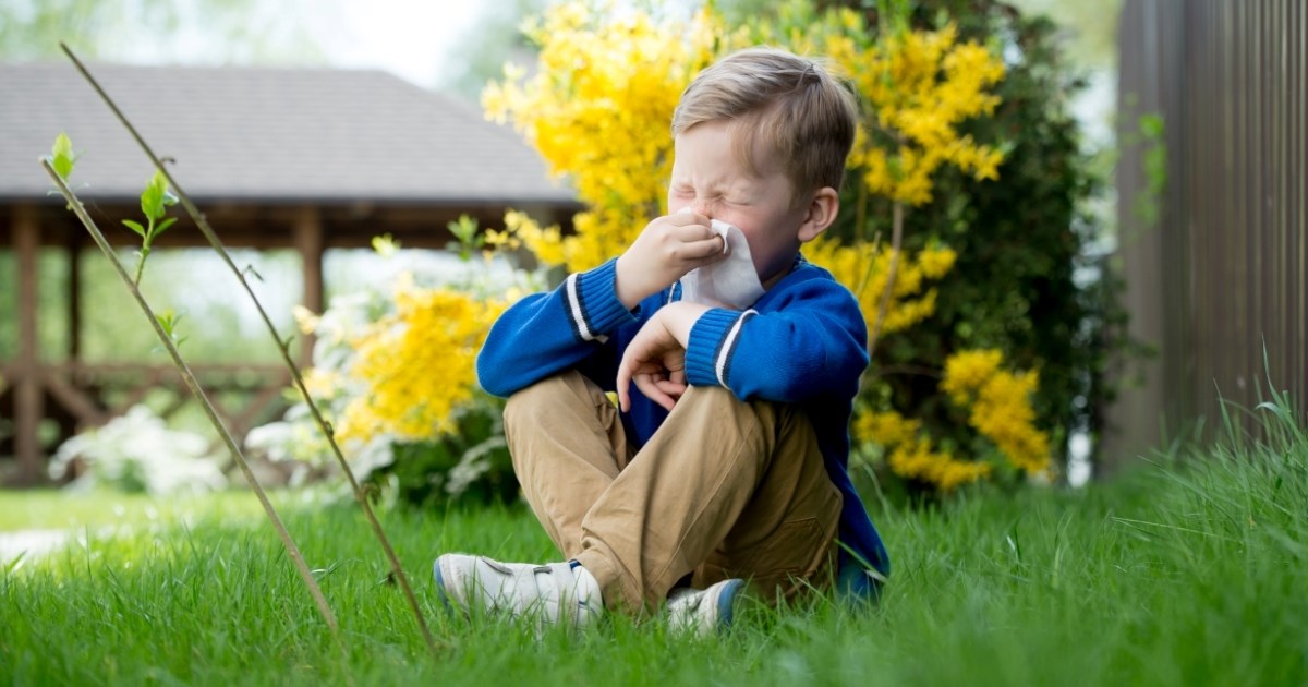 Liječnik upozorava: Ove igračke mogu zadržavati pelud i izazivati alergije