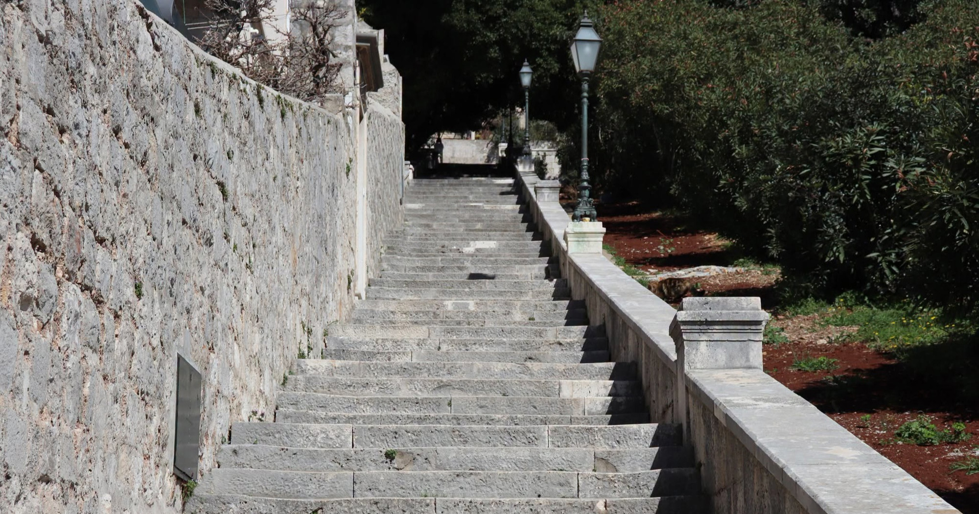 Dubrovnik obnavlja drvored uz Posat za 448 tisuća eura