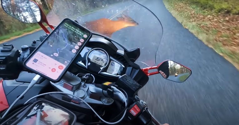 VIDEO Ovako izgleda nalet motocikla na jelena pri 87 km/h