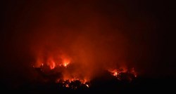 Prva žrtva golemog požara u Sloveniji. Na ženu palo drvo, preminula je