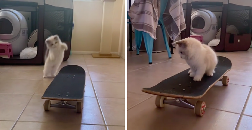 VIDEO Ovaj mačić obožava skateboard i ide mu odlično
