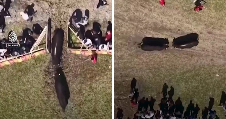 VIDEO Na bikijadi u BiH vrata arene ostala otvorena, bikovi pobjegli među publiku