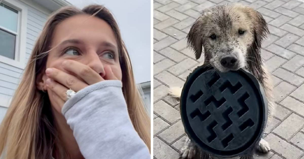 Ostavila psa na minutu u vrtu, nije mogla vjerovati što je napravio