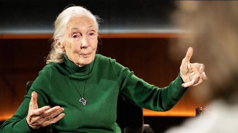 "Zadnje riječi" Jane Goodall na Netflixu: "Trumpa i Muska bih lansirala u svemir"