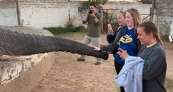 Htjela je snimiti slona, no nije imala pojma da će je katapultirati surlom
