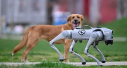 VIDEO Ovaj robo-pas je iz Velike Gorice. Pogledajte što sve može