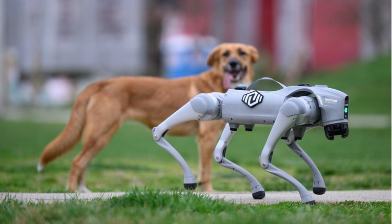 VIDEO Ovaj robotski pas je iz Velike Gorice. Pogledajte što sve može
