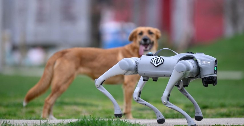 VIDEO Ovaj robo-pas je iz Velike Gorice. Pogledajte što sve može