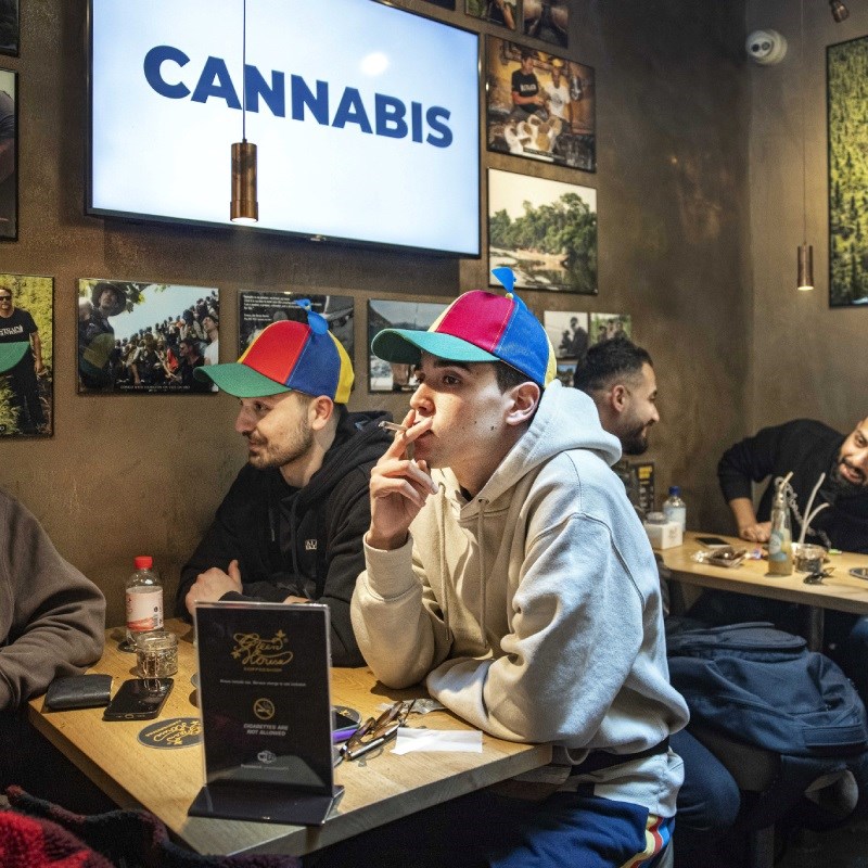 U kanabisu koji se prodaje u nizozemskim coffee shopovima pronađeno olovo i pesticidi