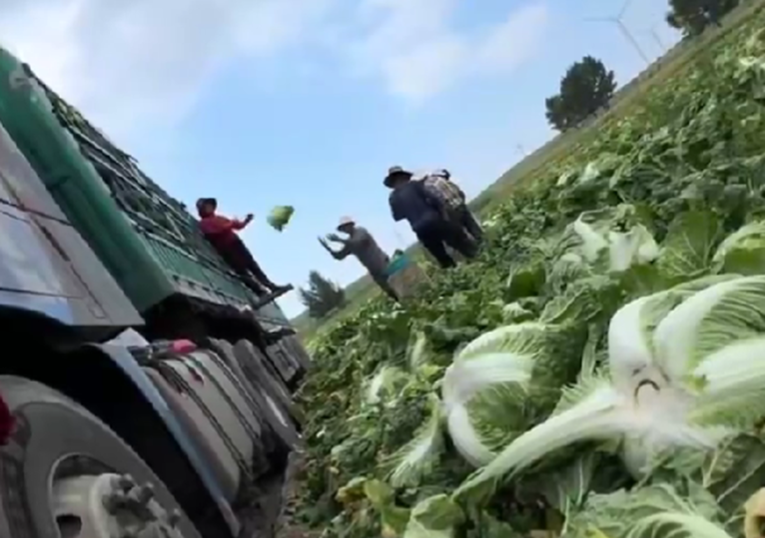 U Kini snimljeno kako umaču kupus u otopinu prije nego ga utovare. Naređena istraga