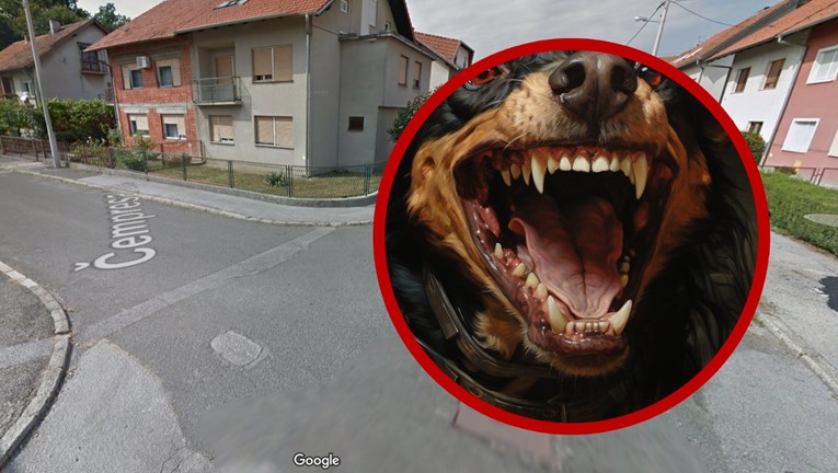 Pas u Zagrebu pobjegao iz dvorišta, ubio dva psa i izgrizao vlasnicu jednog od njih