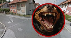 Pas u Zagrebu pobjegao iz dvorišta, ubio dva psa i izgrizao vlasnicu jednog od njih