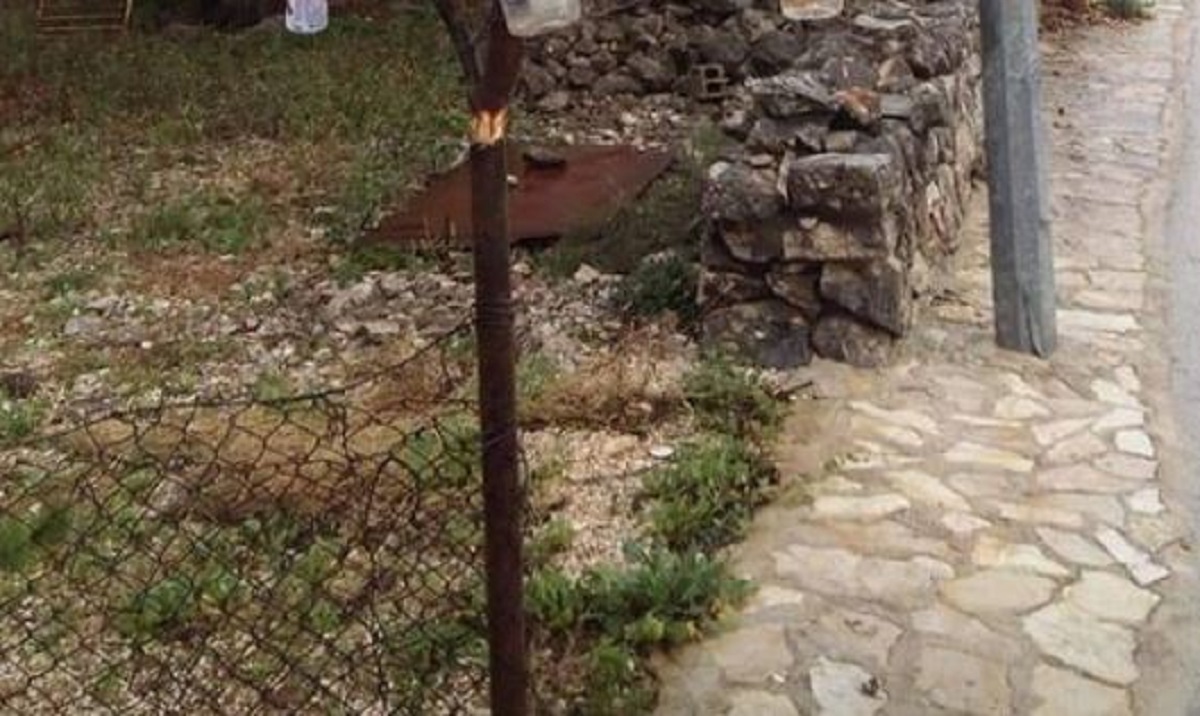 Borić iz Primoštena postao hit na Fejsu zbog onog što se nalazi na njemu