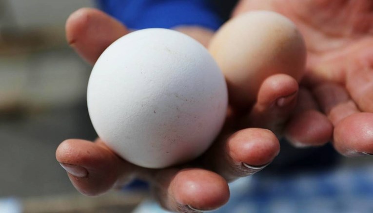 U Poljskoj zbog širenja ptičje gripe porasla cijena jaja
