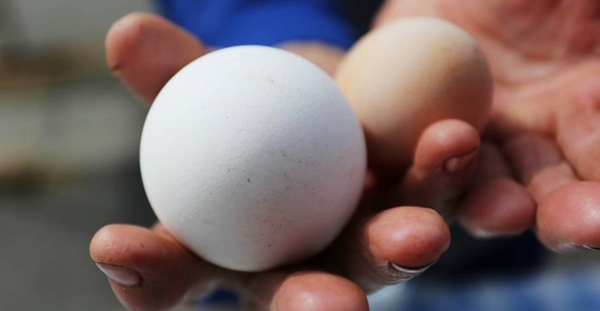 U Poljskoj zbog ptičje gripe porasla cijena jaja