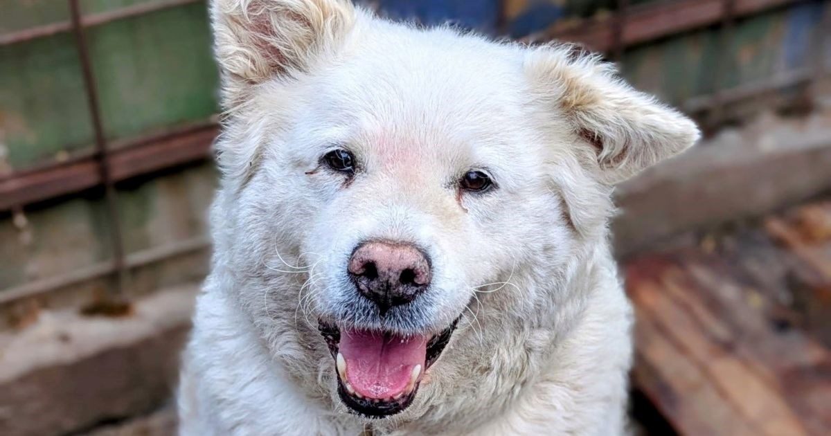Luna je napuštena u dobi od 11 godina: Pomozimo joj da pronađe zauvijek dom