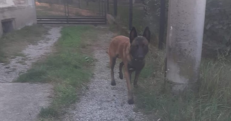 Uhićen vlasnik psa koji je napao djecu u Vrapču