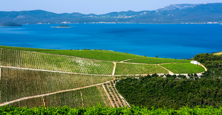 Vogue nahvalio tri hrvatske vinske regije: "Toskano, pomakni se"
