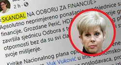 HDZ-ovka prekinula Odbor za financije, Vukoviću i Puljak rekla: Vi ne volite Hrvatsku