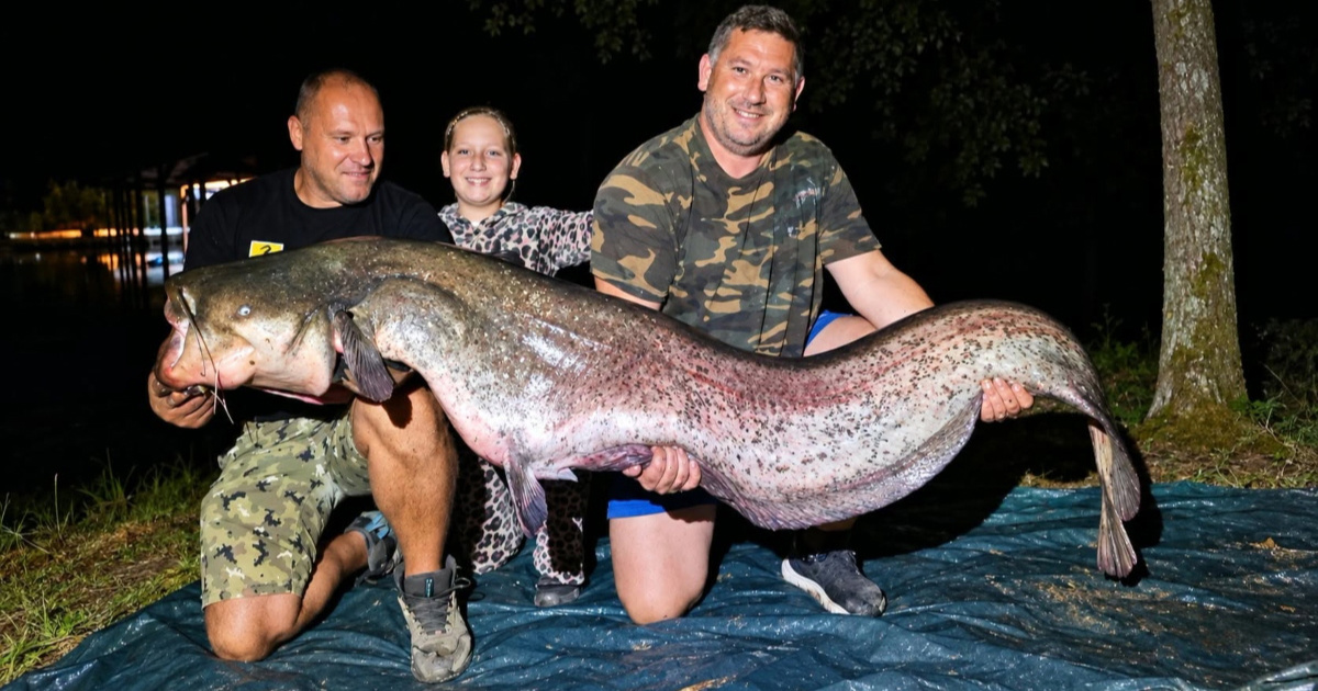 Kod Dugog Sela ulovili soma od 225 cm. Nakon fotografiranja vratili ga u jezero