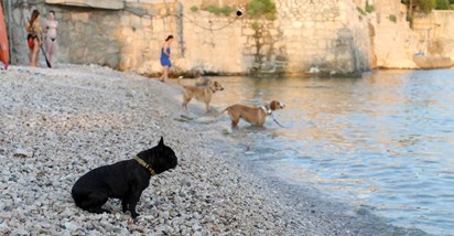 Ovo je popis plaža u Hrvatskoj na kojima je dozvoljen ulaz kućnim ljubimcima
