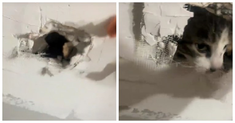 VIDEO Čula grebanje u zidu pa počela luđački kopati, snimka je postala viralna 