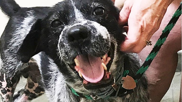 Proveo je život u mukama, no njegova priča ima drugačiji kraj