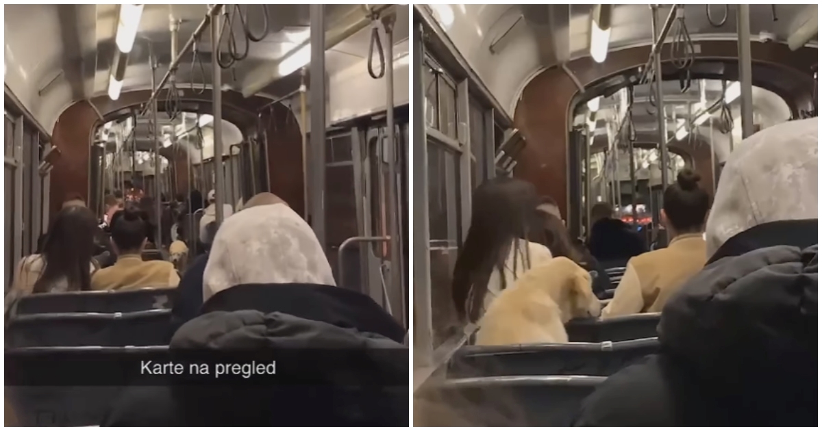 "Karte na pregled": Prizor iz sarajevskog tramvaja oduševio sve