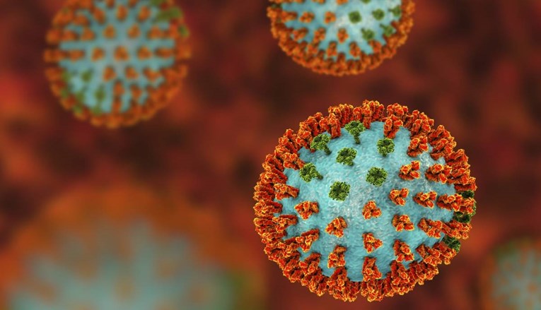 Moguće da su zbog pandemije izumrla dva ljudska virusa gripe