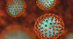 Moguće da su zbog pandemije izumrla dva ljudska virusa gripe