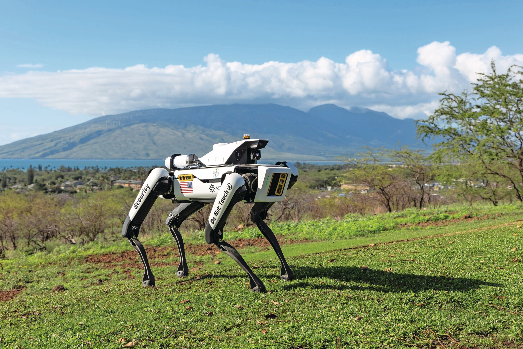 Robotski psi čuvaju vrijedne usjeve kukuruza na Havajima