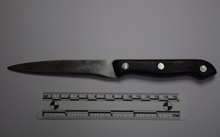 Uhićen 20-godišnjak. Po Zagrebu pljačkao trgovine Studenca