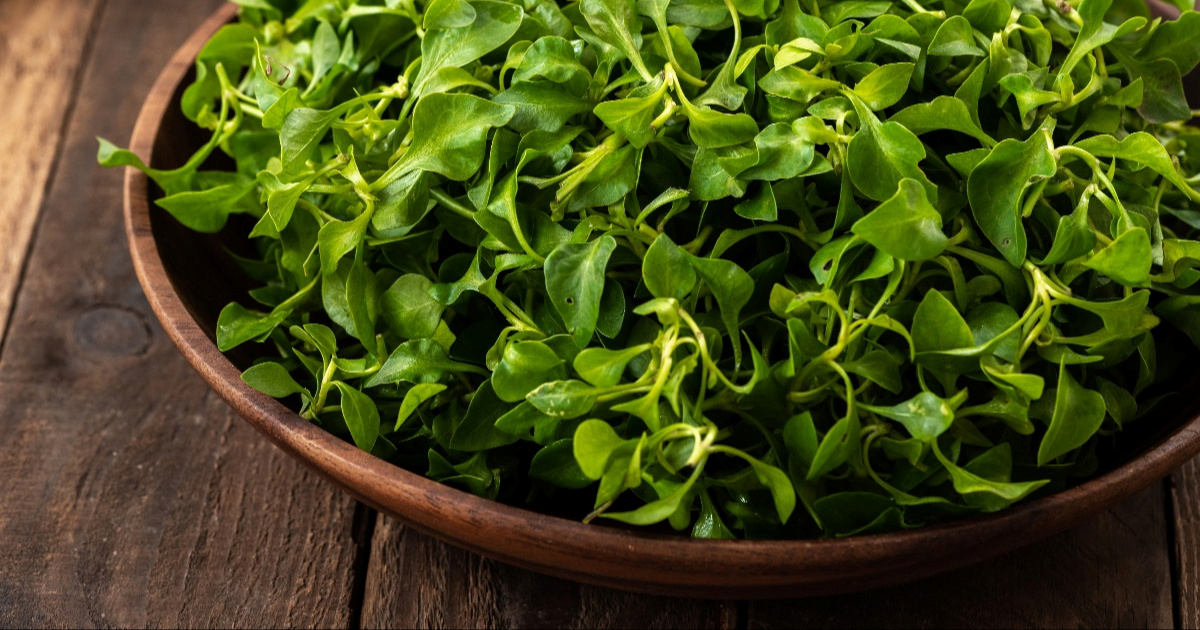 Ovo povrće zdravije je od brokule, a gotovo ga nitko ne jede