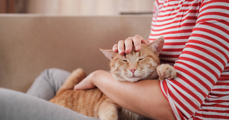 Mogu li ljubimci pomoći osobama s mentalnim poremećajima? Evo što kaže istraživanje