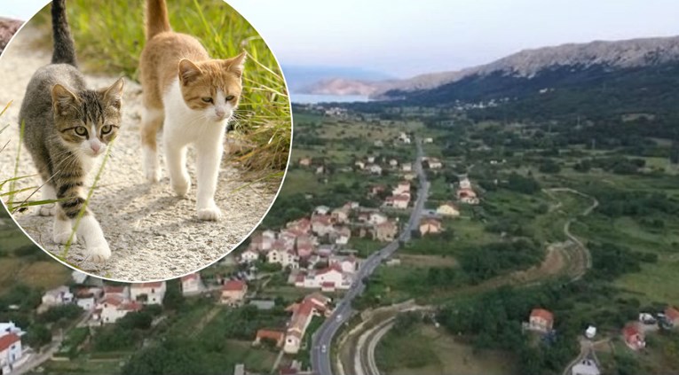 Slovenka tvrdi: Bračni par me na Krku brutalno prebio zbog hrane za mačke