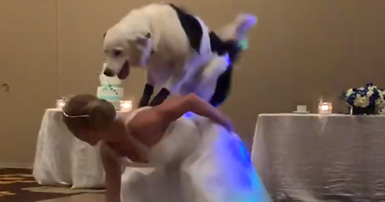 Imala je najljepši prvi ples sa svojim psom i to je samo dio njihove priče