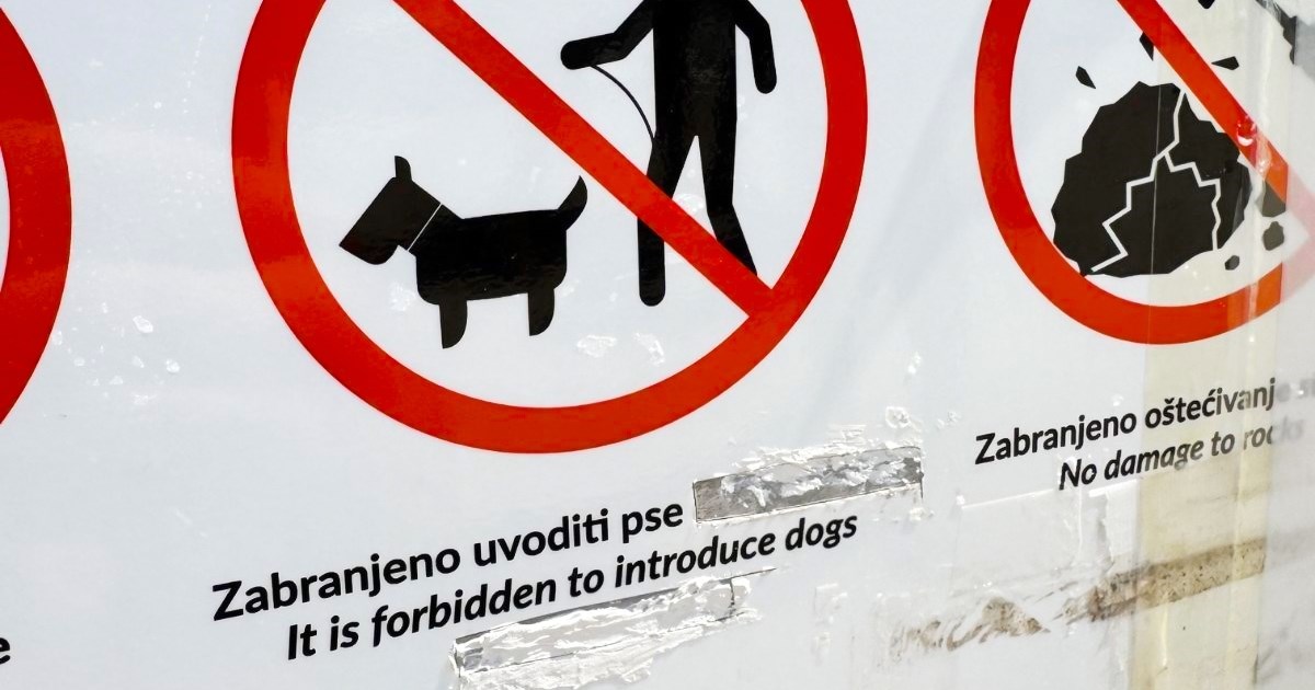 Zakazao Google translate? Prijevodi zabrana na Ugljanu su hit