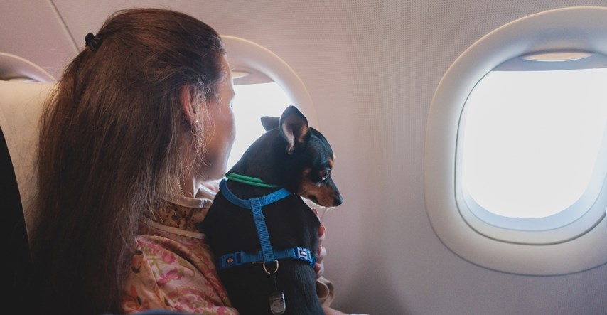 Aviokompanija će dopustiti mačkama i psima da lete u kabinama uz vlasnike