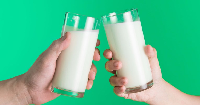 Kravlje ili biljno mlijeko? Koja od mnogih vrsta mlijeka je najbolja za vas?
