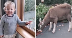 Djevojčica uočila kozu u svom vrtu pa oduševila internet reakcijom